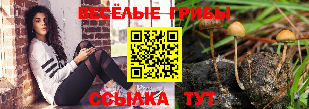 Омск  Псилоцибиновые грибы ЛСД  Псилоцибиновые грибы ЛСД  магазин продажи   Вход с VPN 
